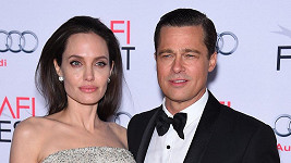 Brad Pitt a Angelina Jolie ještě stále nejsou rozvedeni. 