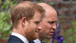 Bratři Harry a William při odhalení sochy princezny Diany v Kensingtonských zahradách