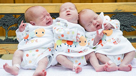 Trojčátka Maddison, Paige a Ffion si pobyla šest týdnů v inkubátoru. 