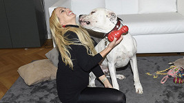 Kate Matl se svým psím miláčkem Etrem