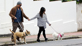 Channing Tatum s těhotnou manželkou Jennou Dewan a jejich psy