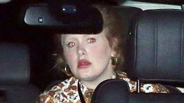Adele si řidičský průkaz udělala teprve nedávno. 