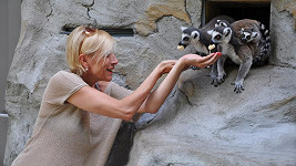 S roztomilými lemury si zpěvačka rozuměla od chvíle, kdy vytasila banány.