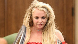 Zpěvačka Britney Spears 
