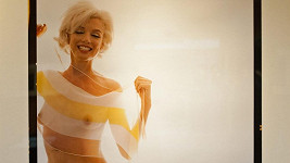 Marilyn Monroe se schovávala pouze za průsvitnou šálku.