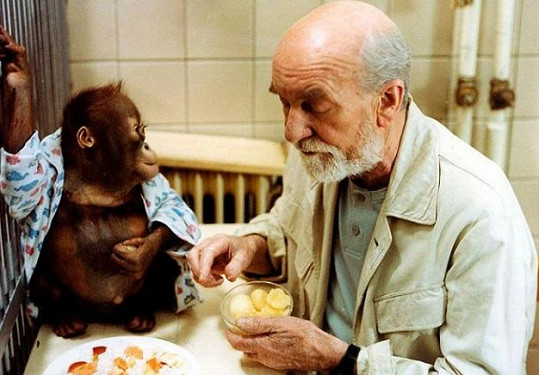Montyho si zahrál Miroslav Macháček, orangutan Amos se ve skutečnosti jmenoval Ňuňák.
