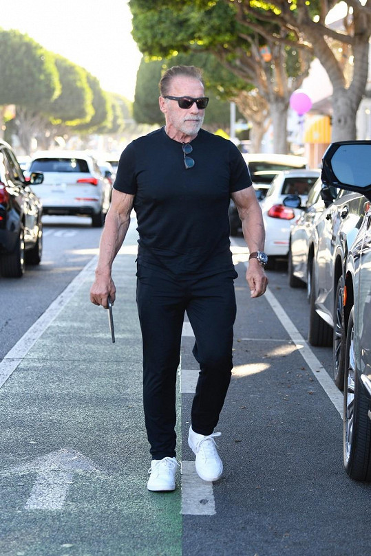 Arnold Schwarzenegger se tak stal dvojnásobným dědou.