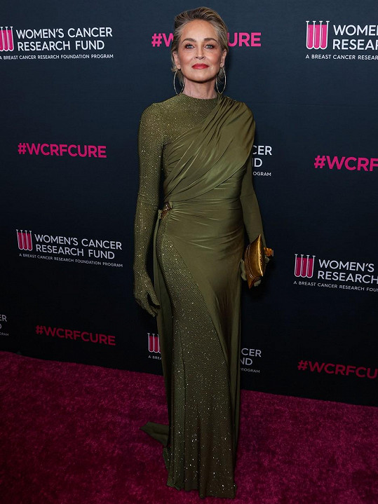 Sharon Stone na galavečeru na podporu výzkumu rakoviny