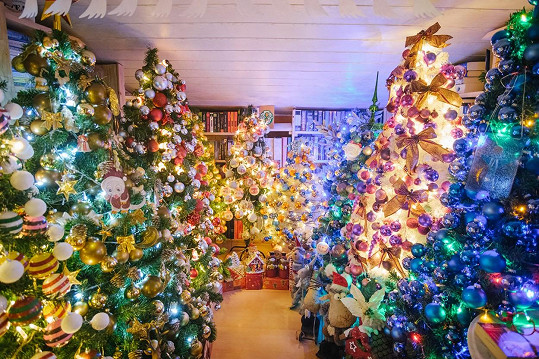 Zdolali rekord s největším počtem nazdobených vánočních stromků na jednom místě. 