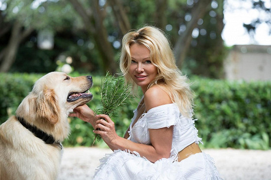 Pamela Anderson se chystá otevřít veganskou restauraci ve Francii.