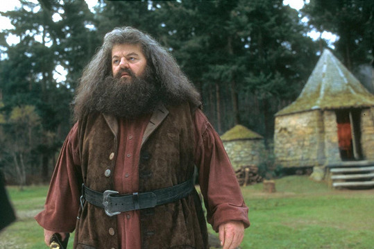 "Filmy klidně budete moci zhlédnout i za 50 let. Já už tu bohužel nebudu, ale Hagrid ano,“ dojal fanoušky. 