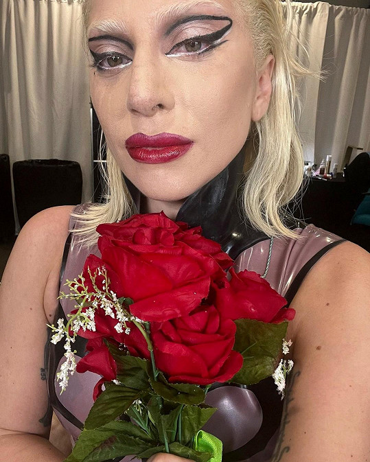 Zničená Lady Gaga se omluvila fanouškům.