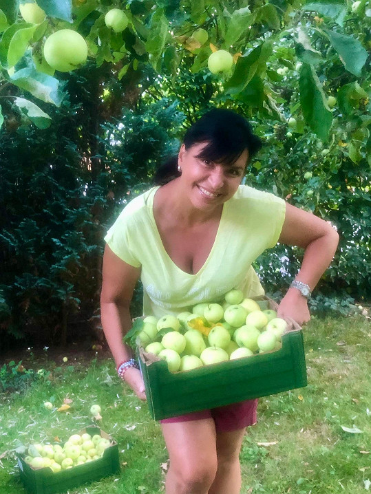 Pohoda doma na zahradě při sběru jablek
