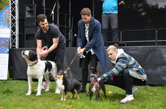 Herec se zúčastnil charitativní akce na podporu pejsků v útulcích. Společně s Robertem Urbanem a Davidem Gránským (vlevo) se pustili do psích závodů.