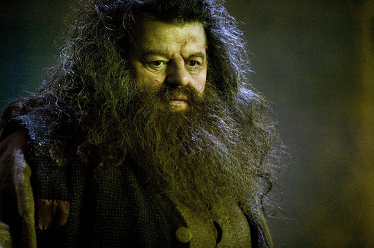 Jako legendární Rubeus Hagrid