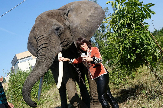 Marta natáčela i se slonem.