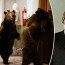 Hlavní hrdinové zdemolovali kabinet a opice se cpaly make-upem: Jak probíhalo natáčení Šesti medvědů s Cibulkou?