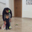 Ochotská už má doma dva sportovce: Takhle Lukáš Rosol trénuje tenis se skoro dvouletým synem