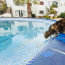 Bazénu se příště vyhne obloukem: Hašení žízně se kočce vymkne z tlapek