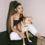 Ariana Grande na svých psích kamarádech nešetří: Dopřála jim soukromé letadlo i apartmán za téměř 73 tisíc na noc!