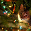 Zvědavá kočka se zamotala do vánočního stromečku: Ten se zřítil i s hravou šelmou