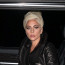 Zdrcená Lady Gaga se po úspěšném večeru musela rozloučit se svou spřízněnou duší: Sbohem, můj andílku!
