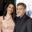 Amal a George Clooney si místo miminka pořídili dalšího pejska z útulku