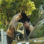 Shawn Mendes objímal svou pohlednou chiropraktičku (51). Má s ní randit několik měsíců