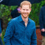 Britská královská rodina přála princi Harrymu k narozeninám. A kde je Meghan? ptají se fanoušci
