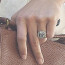 To je ale kámen! Rozzářená Pippa poprvé předvedla zásnubní prsten