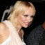Usedlé mikádo, ale Pamela Anderson v něm omládla o dvacet let