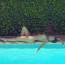 Nicole Scherzinger pózovala u bazénu jako bikinová bohyně: Toto sexy tělíčko hýčká slavný tenista