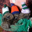 Tito ježčí sourozenci se zimy bát nemusí, dočkali se fešáckých pletených čepic