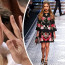 Nejhezčí členka britské královské rodiny zabodovala jako modelka na přehlídce Dolce & Gabbana