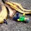 Uklouznutí na slupce od banánu je dost ohraný fórek. Tentokrát ale bylo ovoce hodně zákeřné