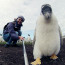 Kuk! Kam se na tohoto malého tučňáka hrabe selfie maniačka Kim Kardashian