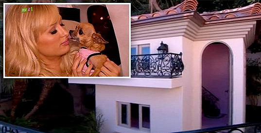 Taková zhýralost: Čivava Paris Hilton má boudu dražší než průměrný dům. Stála milióny!