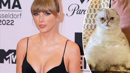 Kočka Taylor Swift má hodnotu 97 milionů dolarů.