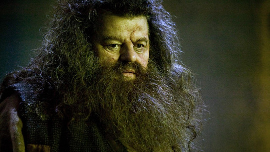 Robbie Coltrane jako Hagrid 