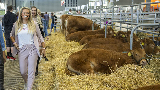 Lucie Borhyová se fotila mezi krávami.