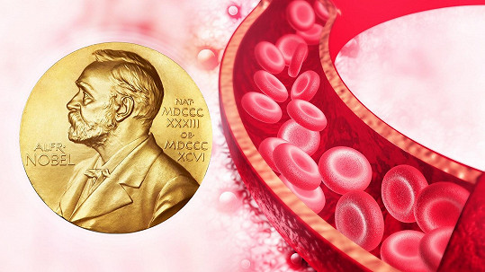 Vitamín K2 – nový supervitamín s Nobelovou cenou…