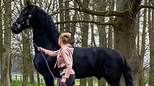 Hana Mašlíková místo oslavy 39. narozenin řeší zdravotní problémy svého koně.