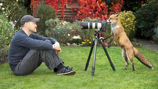 Fotograf se skamarádil s liškou...